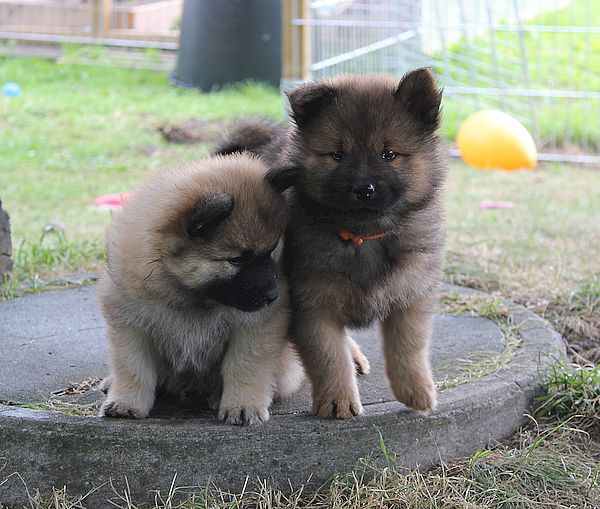 Nayeli und Nianyo