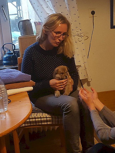 Tine und Osa
