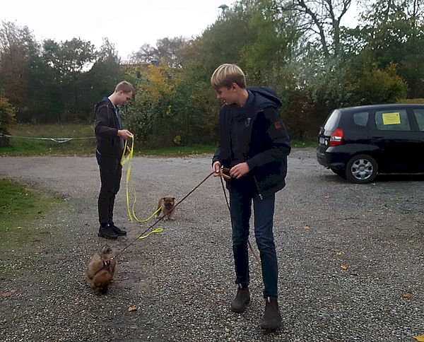 Simon und Christopher unterstützen mich