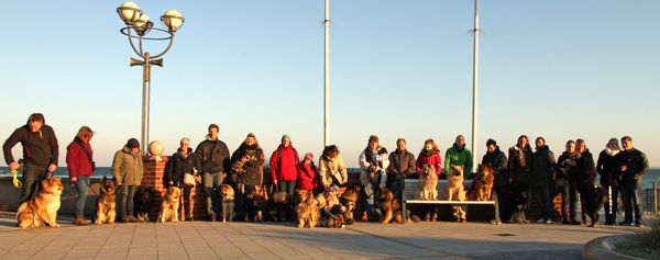 Riekendahltreffen 2015 in Grömitz