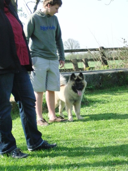 Ulva