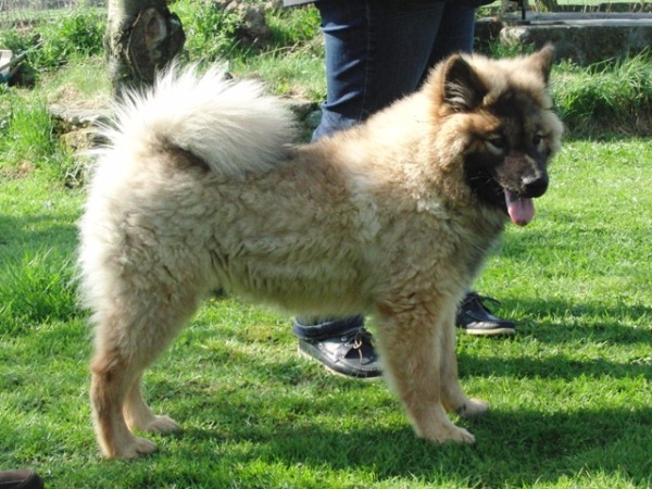 Wotan
