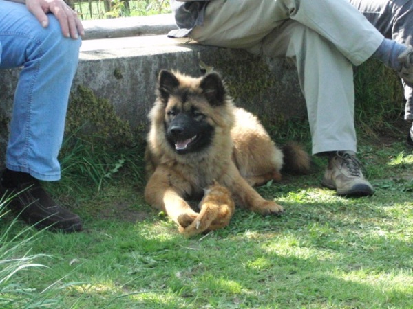 Leo