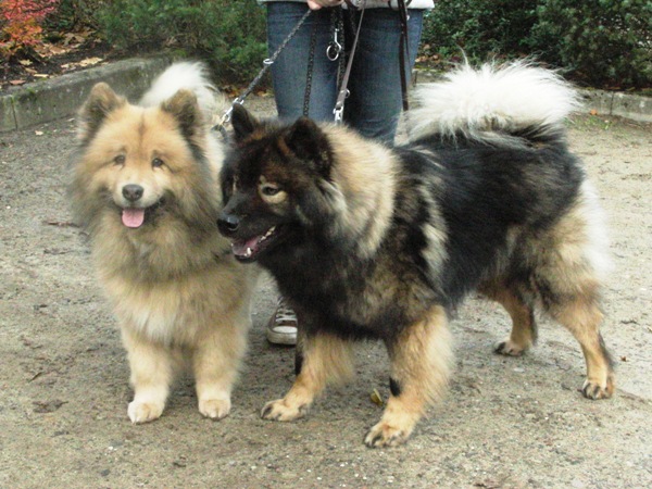 Wanja und Frodo