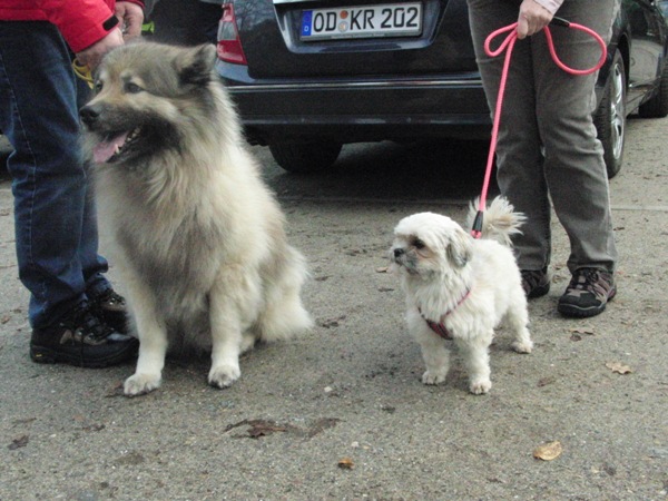 Joshi und Emily