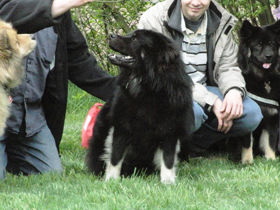 Haakon