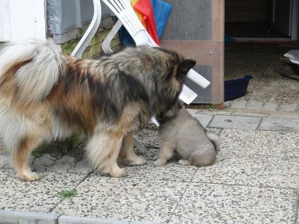 Lenka und Eywa