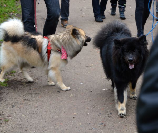 Keiko und Kosmo