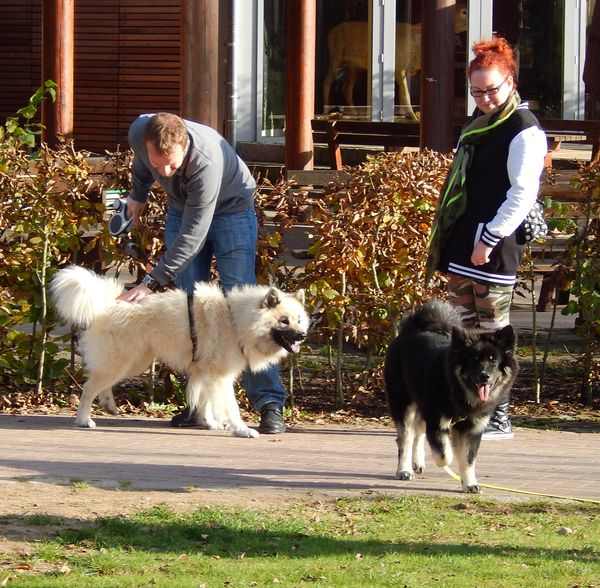 Kingston und Sohn Jim
