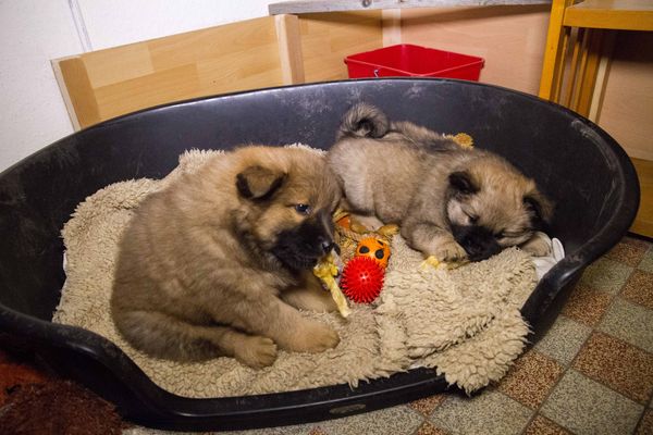Stella und Naaja