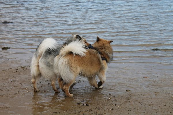 Miina und Motte
