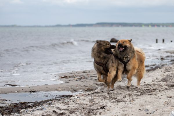 Lenya und Naaja