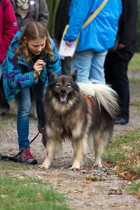 Riekendahl's Davinci mit Hanna