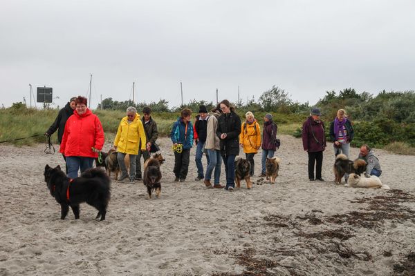 Strandspaziergang