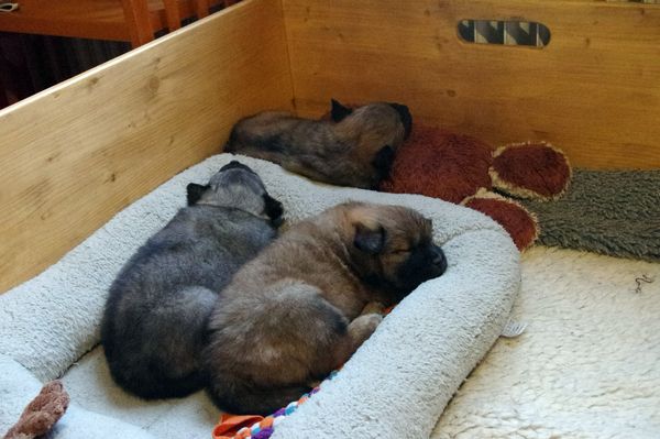 Miina und Stella