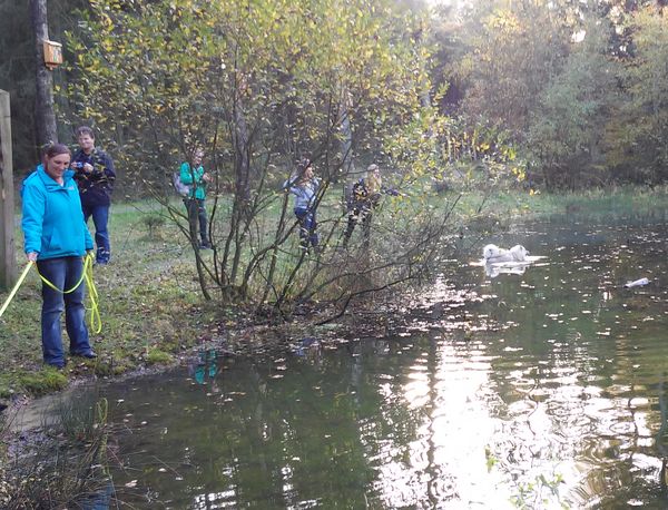 Die J's haben einen Hang zum Wasser