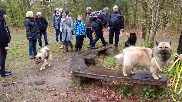 Alle Hunde mal auf die Bank