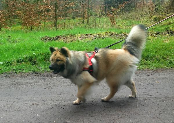 Keiko (Patsy)