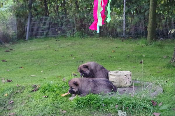 Keiko und Kenya