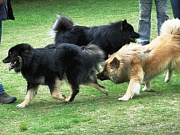 Übersichtsbild der Kategorie H -Treffen am 06.05.12 in Wapelfeld
