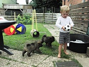 Übersichtsbild der Kategorie I-Wurf Woche 6