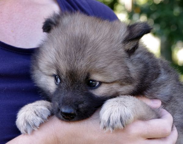 Keiko