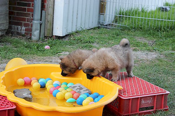 Nala und Nayeli