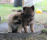 Nayeli und Nianyo