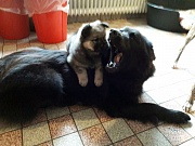 Miina und Mama