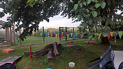 Abendfrieden im Welpengarten