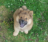 Nuko