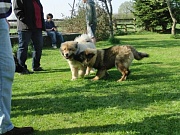 Wanja und Maxi