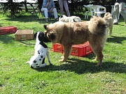Bille und Leo