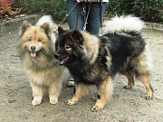 Wanja und Frodo