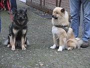 Fenny und Laima warten