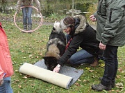 Fenny mit Simone an der Leckerli-Rolle