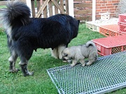 Cuba und Eywa