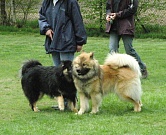 Havana und Hugo