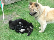 Newa und Jim