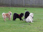 Jago, Piri, Jim und Eywa