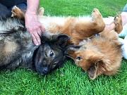 Leni und Stella albern für die Kamera