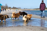 Wasserfreudig sind sie wohl alle