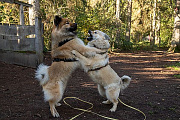 Milow und Miina