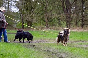 Liva und Lenya