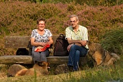 Picknick 