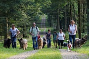 Stephie hat selbstgebackene Hundekekse mit