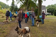 Riekendahltreffen 2016 in Undeloh