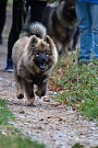 Schnell zum Riekendahltreffen nach Undeloh!