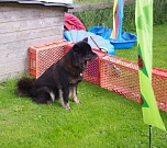 Wat geiht mich dat an...