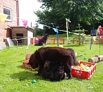 Ein vielsagendes Bild